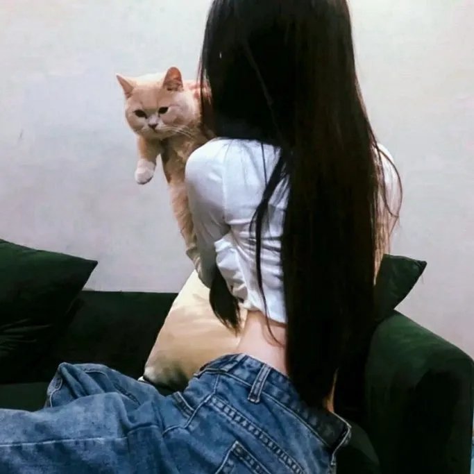 无贼